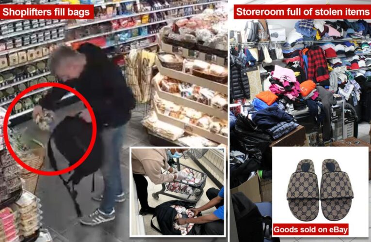 eBay and Facebook Marketplace fuel NYC’s shoplifting economy