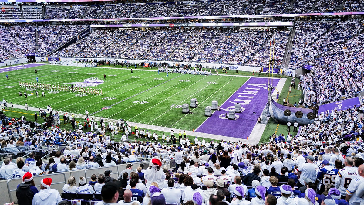 General view of Minnesota Vikings turf