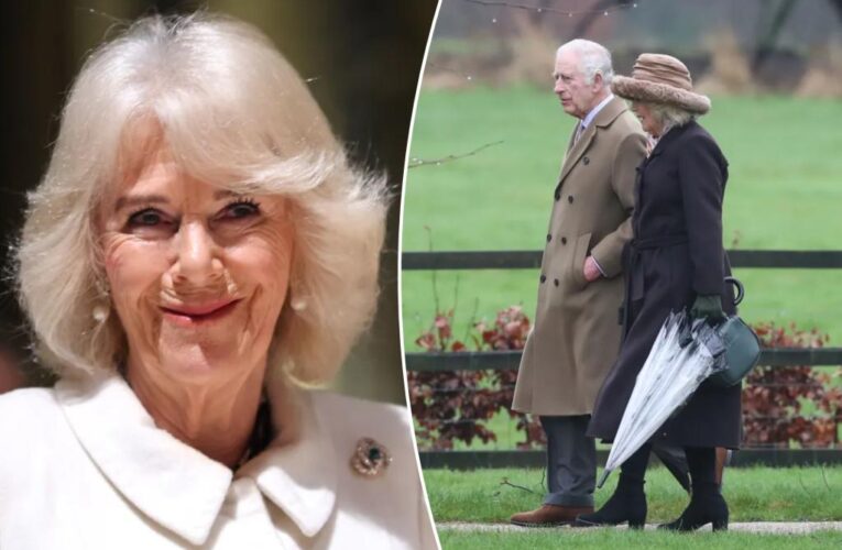 Queen Camilla taking break from royal duties after filling in for King Charles amid his cancer diagnosis