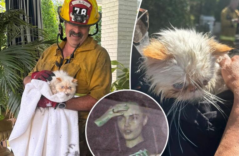 Moment Cara Delevingne’s two cats are pulled from her burning LA home by firefighters