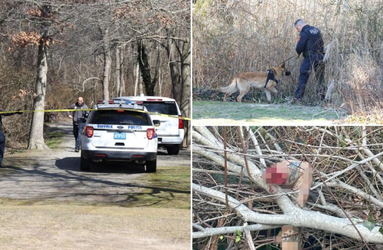 Female head discovered inside same LI park where kids walking to school found male arm: cops