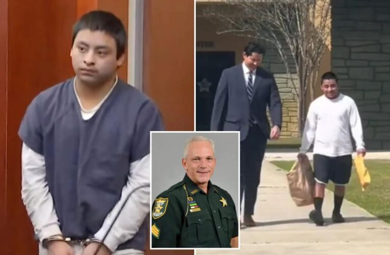 Guatemalan illegal migrant Virgilio Aguilar Mendez accused in police sergeant’s death is released