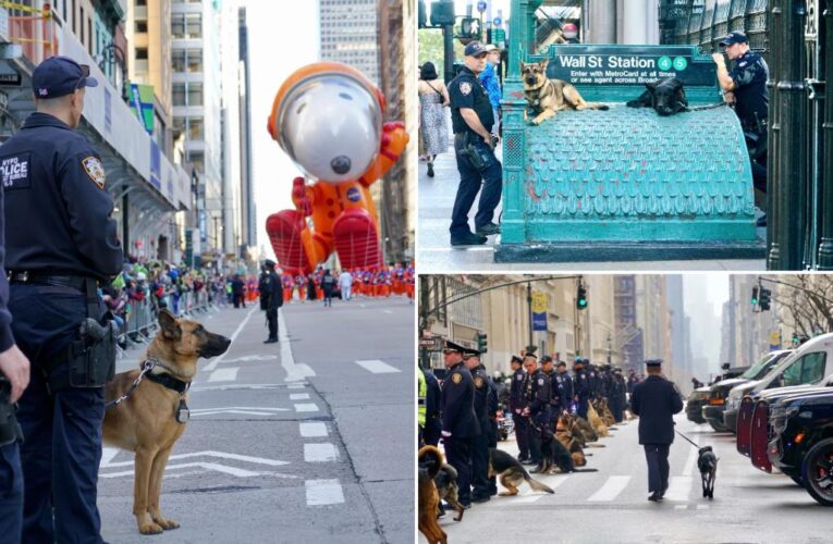 NYPD K9 photo exhibit features the dogs that protect the Big Apple