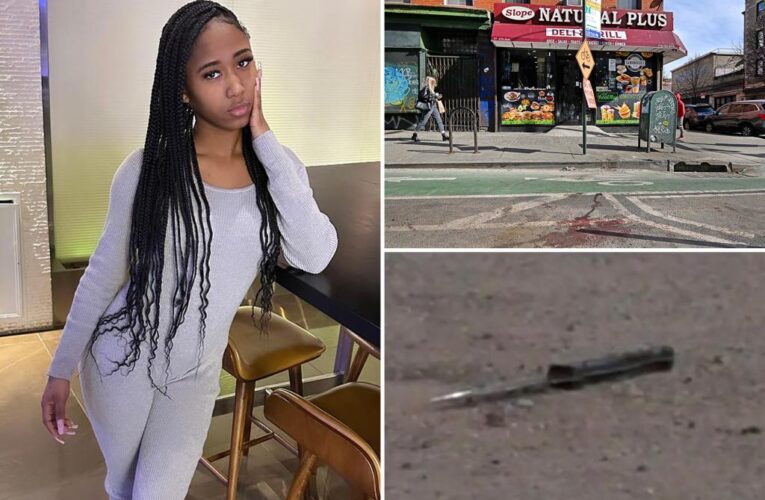 Suspect who stabbed twins with ‘big knife’ in Brooklyn also tried to slash bodega worker