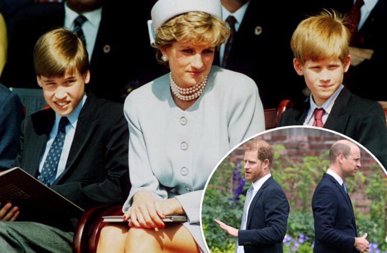 Princess Diana would have ‘broken heart’ over Harry ‘desertion,’ William drawn line in sand: expert