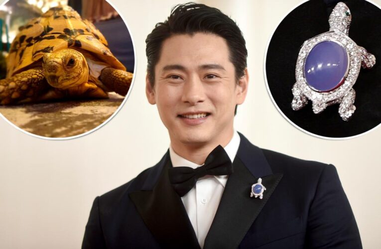 ‘Past Lives’ star Teo Yoo wore turtle pin at Oscars for late pet: ‘In tears’