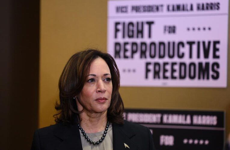 Only 36% approve of ‘court jester’ Kamala Harris’ job as vice president: Poll