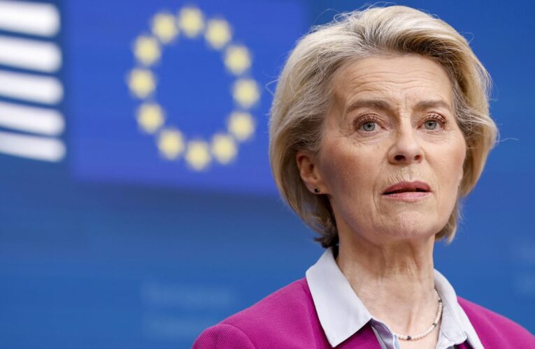 Von der Leyen’s Commission not winning most European hearts and minds, polling suggests