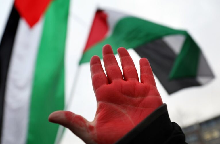 Pro-Palestinian protesters’ painted red hands a ‘symbol’ rooted in ‘craze to see blood’: expert