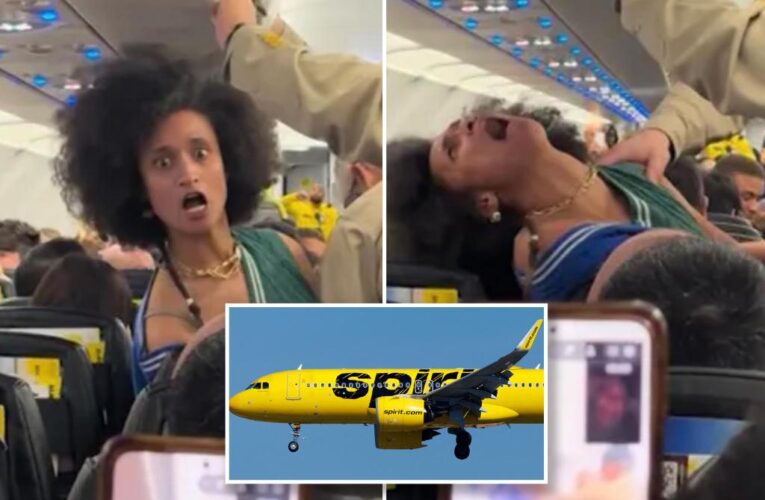 Woman goes ballistic while being arrested on Spirit plane