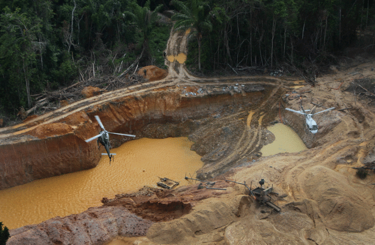 Mercury exposure widespread among Yanomami tribe in Amazon, report finds