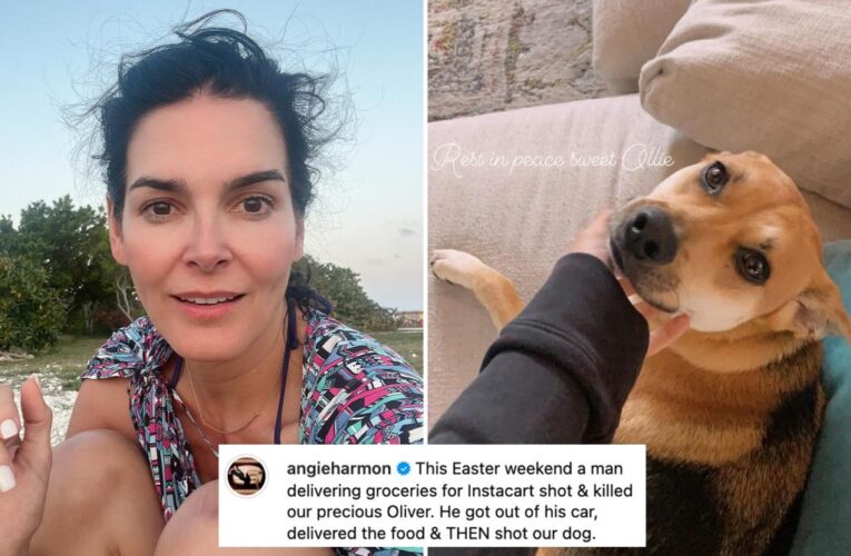Angie Harmon accuses Instacart delivery driver of shooting and killing her dog