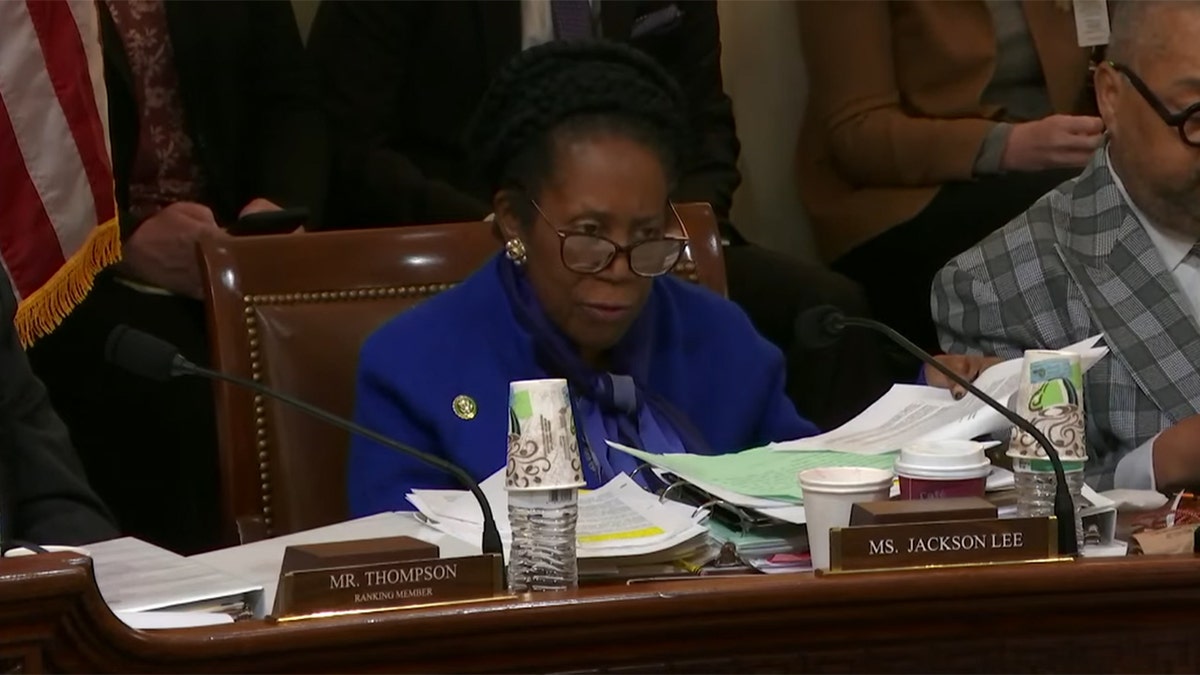 Sheila Jackson Lee