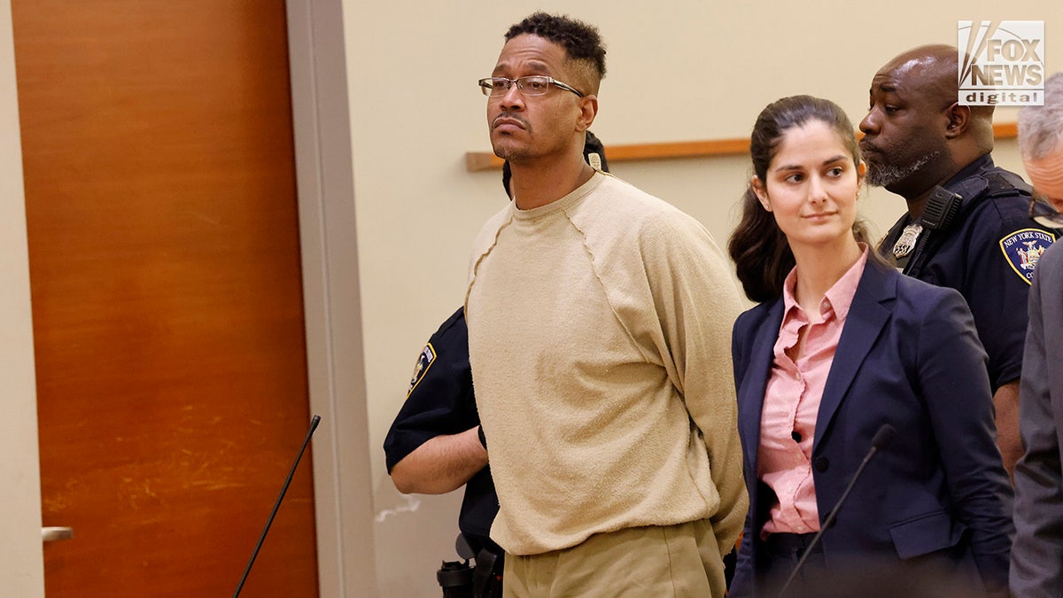 Sheldon Johnson appears in a courtroom at the Bronx Supreme Court