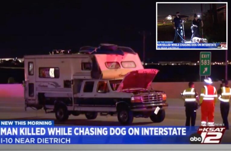 San Antonio man killed while chasing dogs on interstate